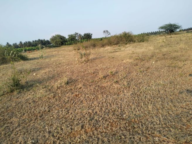 Low budget land for sale
