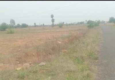 Land for sale at low price