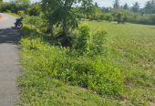 Total 50 lakhs only Agri land for sale
