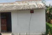 1bhk House For Rent