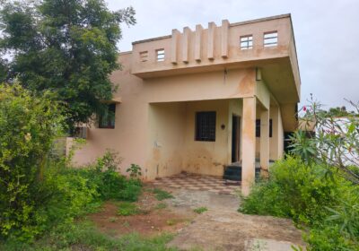 motion_photo_2989176784517004184